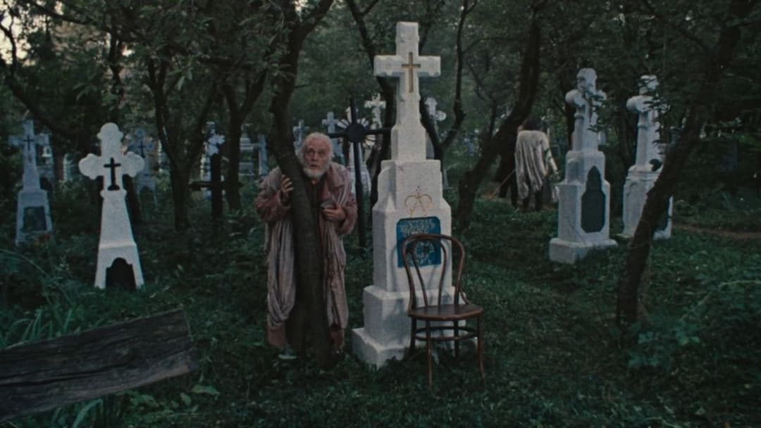 Among Grey Stones