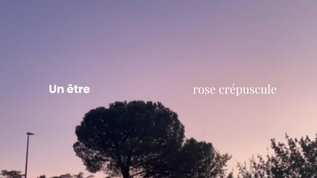 Un Être Rose Crépuscule