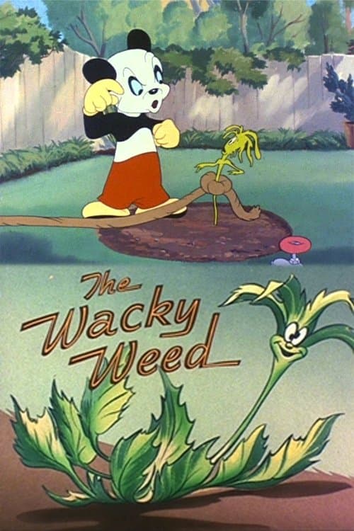 /ckB7AWuFDEWCtoyyUloNIsStqFD.jpg
