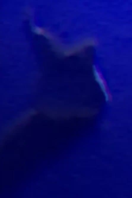 /oCAb96zqeSY44vZFxdXiKKTwS8.jpg