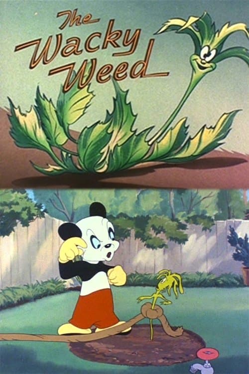 /vQnaoeOnXLUkmsOiHWBa2sFiKPA.jpg